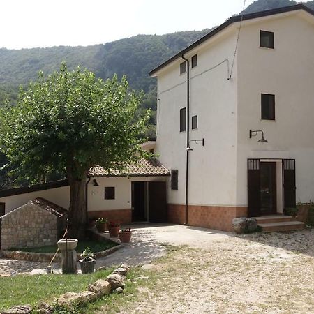 Azienda Agrituristica Terraria Hotel Campagna Luaran gambar